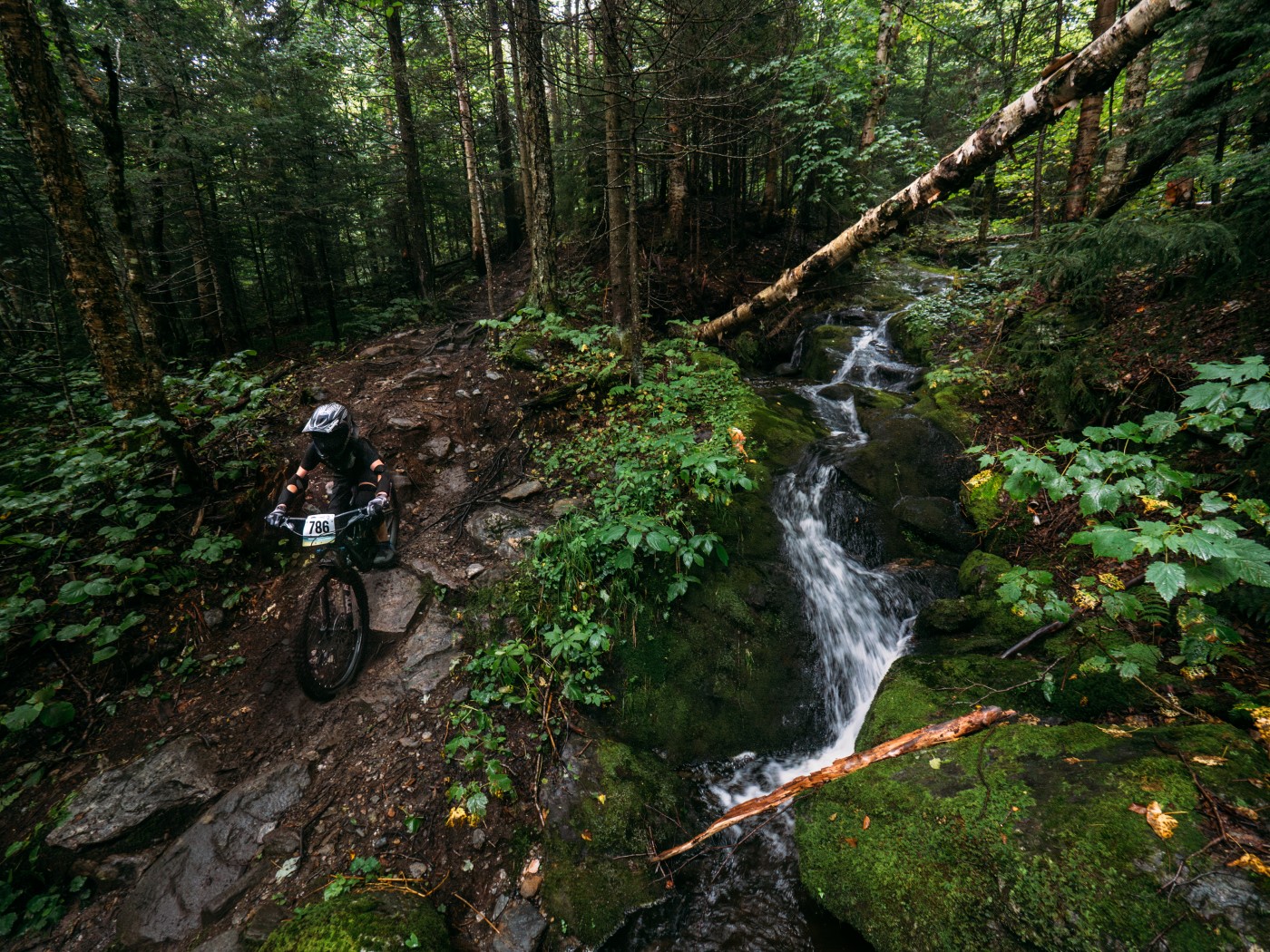 overhead view of a mountain biker racing down a mountain bike trail with the river flowing parallel to the trail
